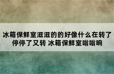 冰箱保鲜室滋滋的的好像什么在转了停停了又转 冰箱保鲜室嗡嗡响